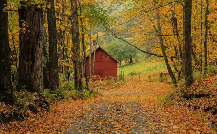 Evaluating Systems of Land Use Mediation in Vermont