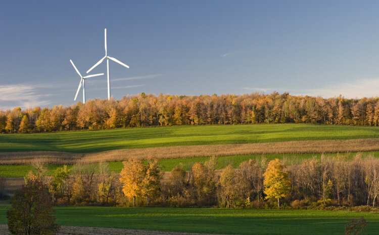 Accelerating Renewable Energy while Protecting Wildlife