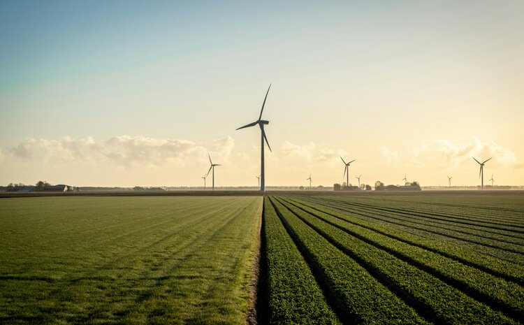 On Energy Siting and Community Benefits Agreements