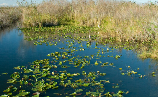 The Uncertain Ground of Federal Wetland Enforcement Cases: Why Mediation Can Help