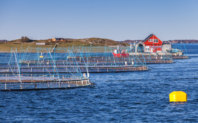 CBI Supports Global Aquaculture Standard Setting Process