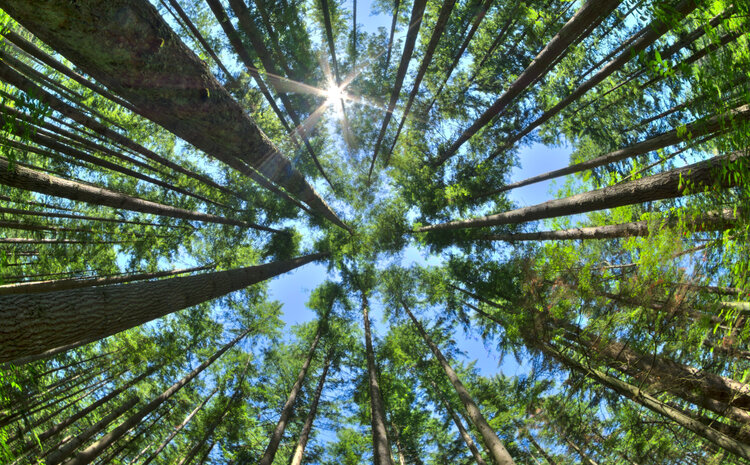 Winning Public Support for Addressing Climate Change