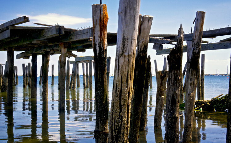 Shoring Up For Uncertain Seas: Seeking Consensus on Sea Level Rise in Coastal Communities