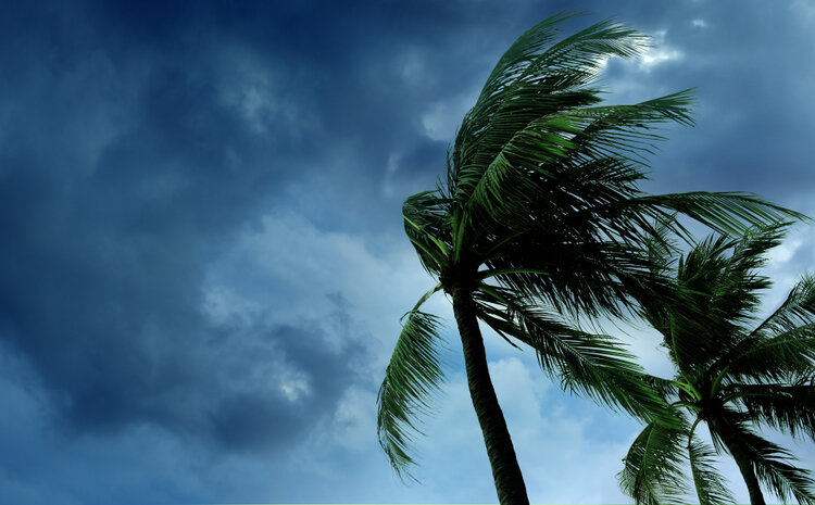 What Have We Learned About Climate Change Adaptation?