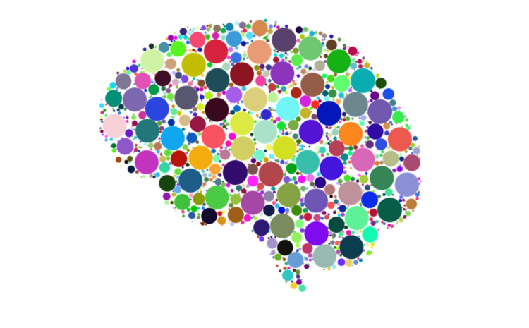 Don’t Believe Everything You Think: The Pitfalls of Cognitive Bias