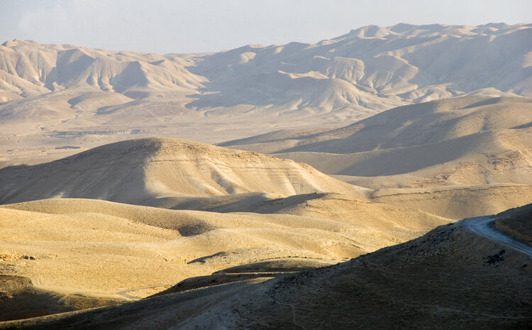 Joint Environmental Mediation Training in the Middle East