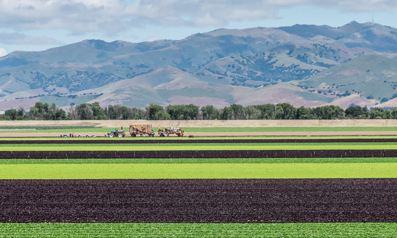 Breakthrough Collaboration: Sustainable Groundwater Management in Salinas Valley