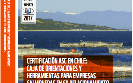 Guiando a productores de salmón en Chile hacia relaciones más sustentables con las comunidades