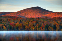 Integrating Mediation in Land Use Decision Making: a Report on Systems of Land Use Mediation in Vermont