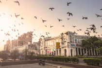 AsiaLink Business Briefs: India