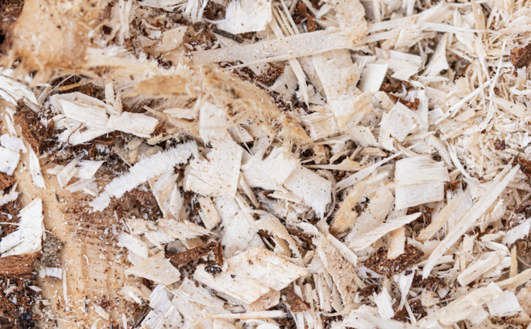 A Circular Bioeconomy