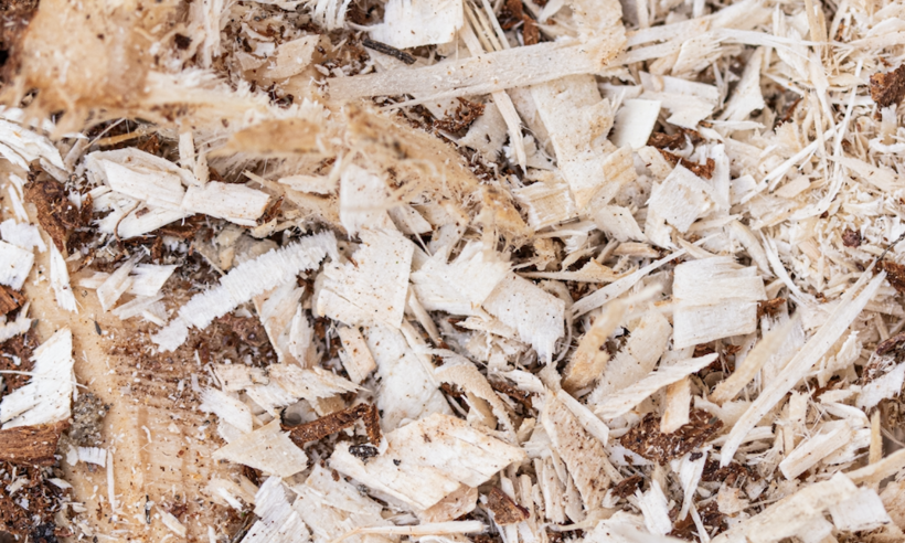 A Circular Bioeconomy